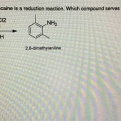 Synthesis of lidocaine lab report