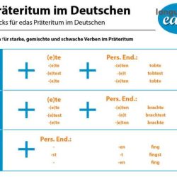 Denn sentences in german exercises