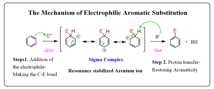 Electrophilic reaction reactions cheminfographic